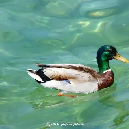 San Zeno - Vicino Centro,lago Parcheggio * バルドリーノ