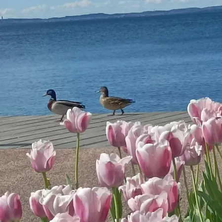 Appartement San Zeno - Vicino Centro,lago Parcheggio