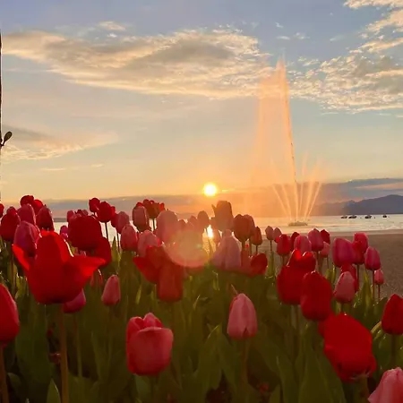 San Zeno - Vicino Centro,lago Parcheggio *