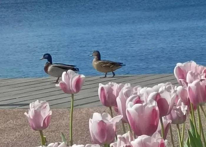San Zeno - Vicino Centro,lago Parcheggio 바르돌리노