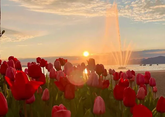 San Zeno - Vicino Centro,lago Parcheggio 아파트 바르돌리노
